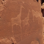 Felsgravuren von Twyfelfontein -  - Namibia