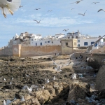 Rundreise zu den Königsstädten - Marokko