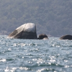 Lake Malawi Nationalpark - Malawisee - Malawi